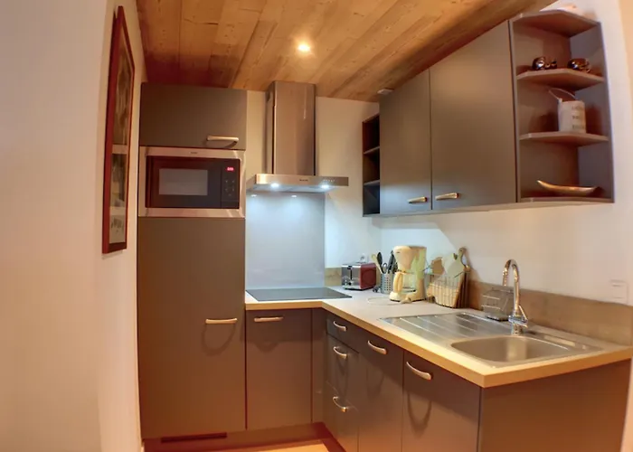 Appartement Modern With View On The Aiguille Du Midi Chamonix